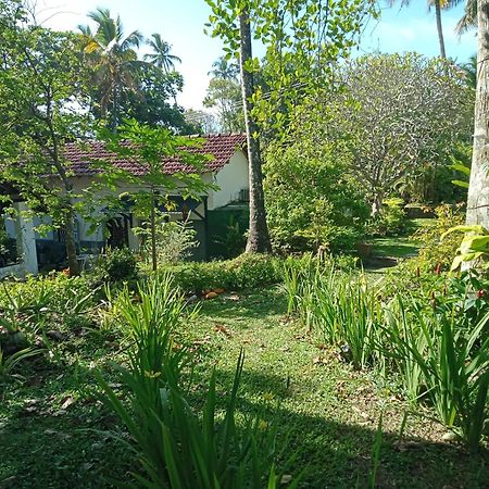 Freedom192 Hotel Weligama Exterior foto