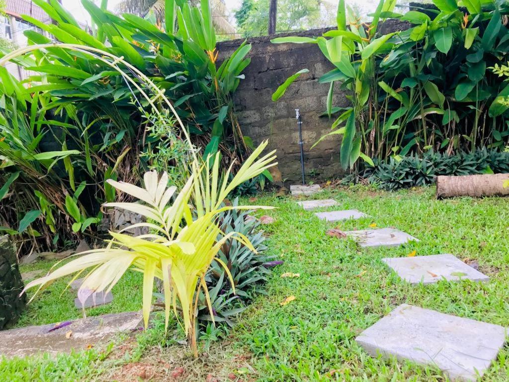 Freedom192 Hotel Weligama Exterior foto