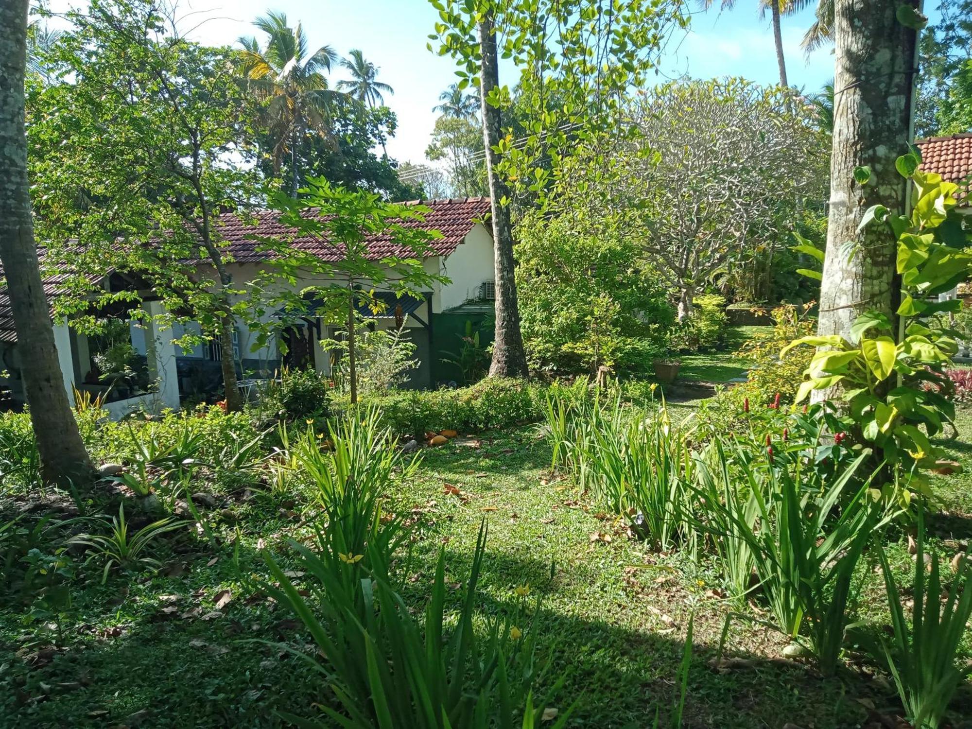 Freedom192 Hotel Weligama Exterior foto